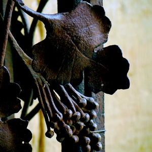 Feuille et grappe décorant une grille en fer forgé - France  - collection de photos clin d'oeil, catégorie clindoeil